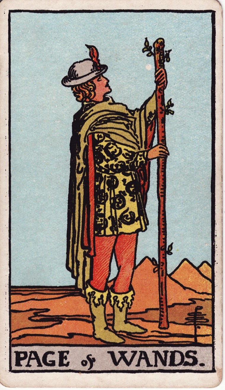 Page of Wands in the Waite–Smith 1909 deck: young or novice messenger, one wand examined, open exploratory posture